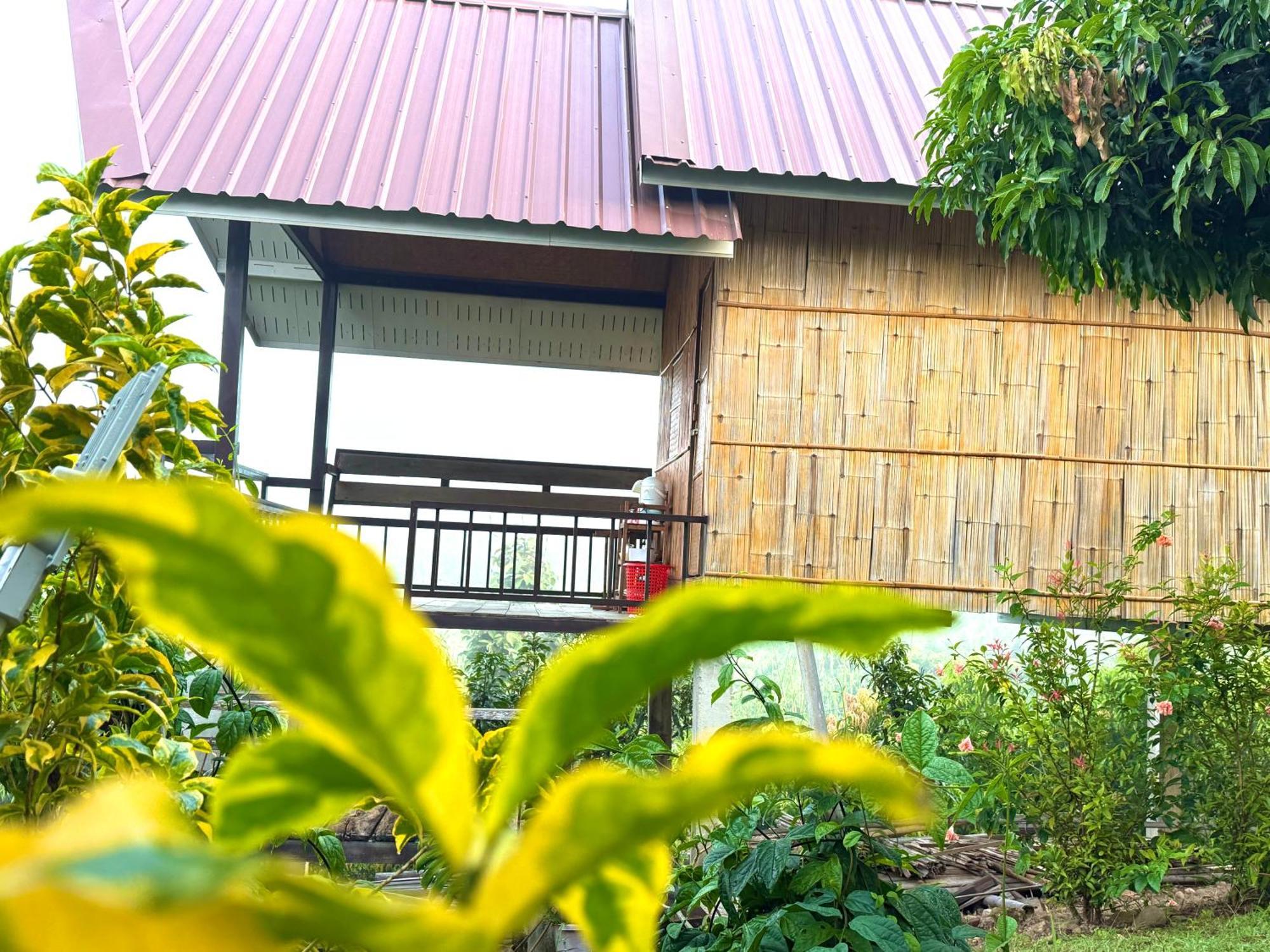 Doicherngngam Home Stay تْشينغْ داوْ المظهر الخارجي الصورة